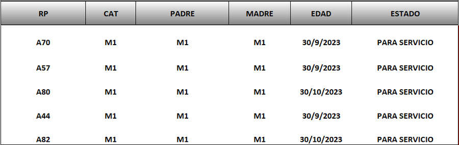 Lote LOTE 78