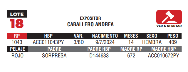 Lote LOTE 18 - JUNIOR