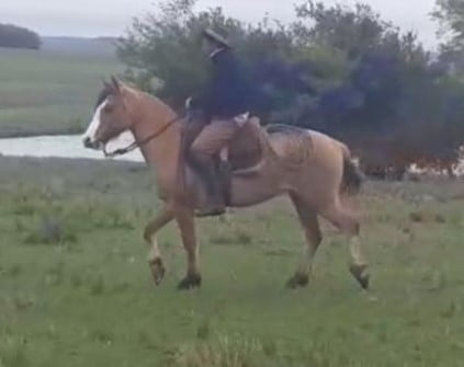 Lote Cabaña "El Espartillo" - RP 93 - Garua El Espartillo