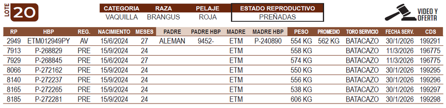 Lote LOTE 20