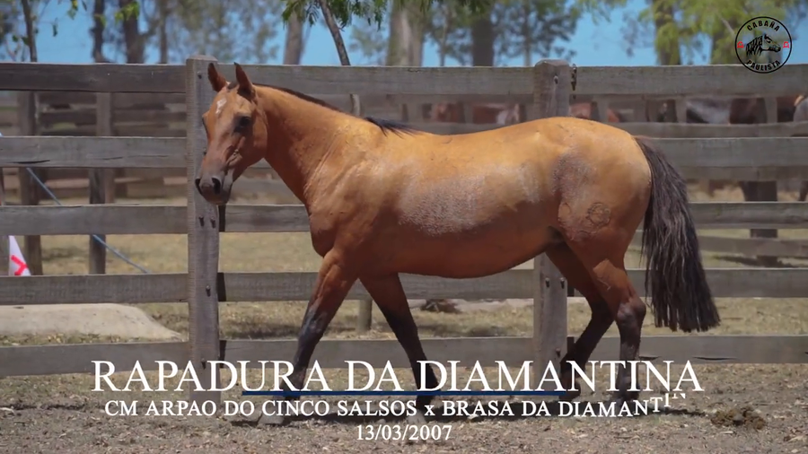 Lote Rapadura Da Diamantina
