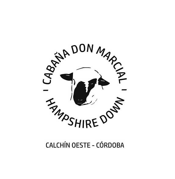 Lote CARNERO HAMPSHIRE DOWN