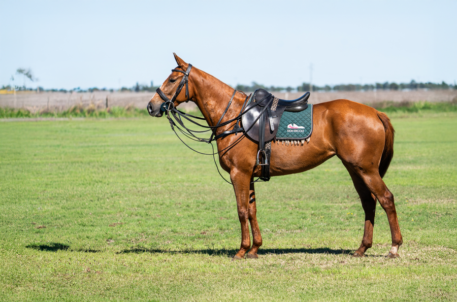 Lote DON ERCOLE TAPADA