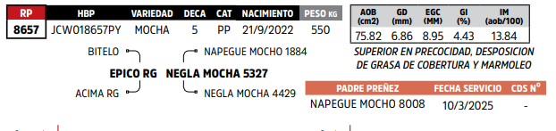 Lote LOTE 76