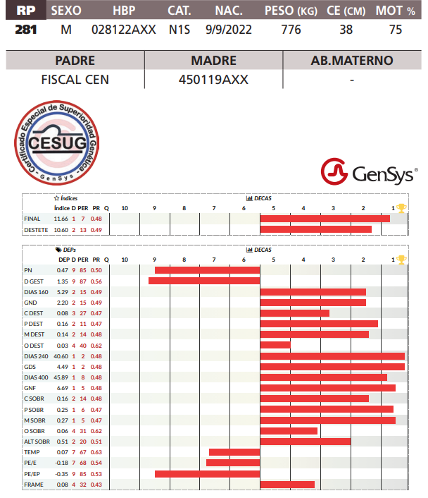 Lote LOTE 19