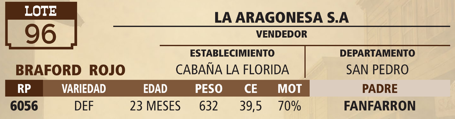 Lote LOTE 96 - VIVO