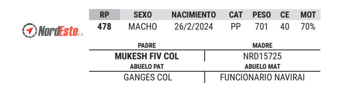 Lote LOTE 41