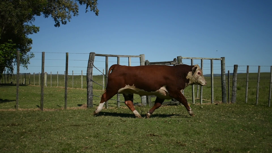 Lote "Valle Del Laurel" , RP 460