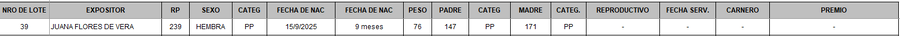 Lote LOTE 39 - BOZAL
