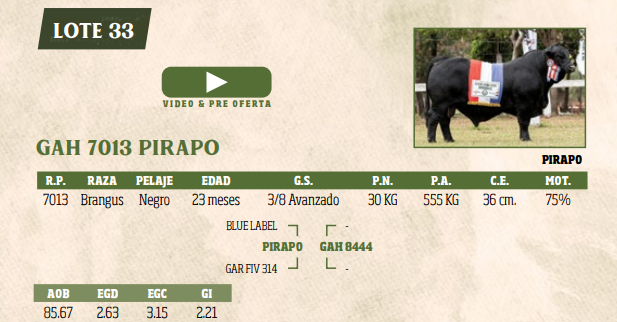 Lote LOTE 33