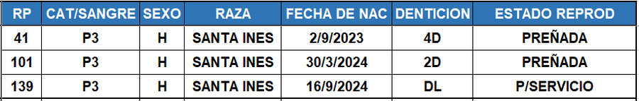 Lote LOTE 21