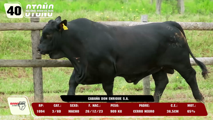 Lote LOTE 40 -DE CAMPO