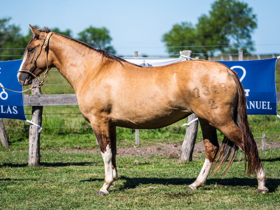 Lote CUNUMI 1398 LA SECA