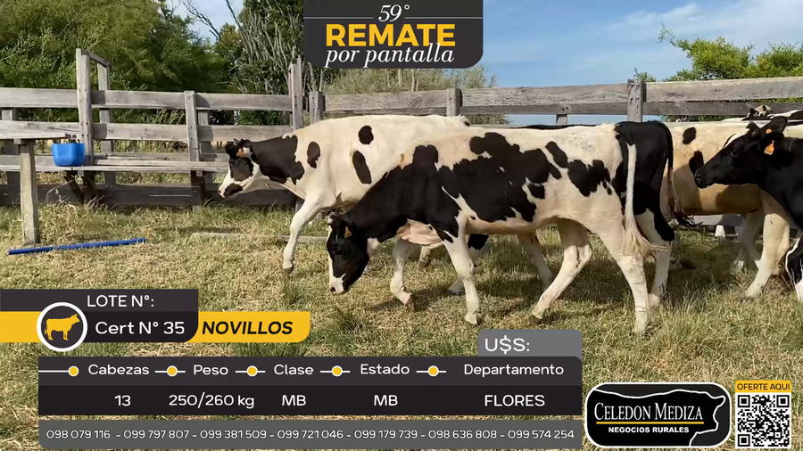 Lote 13 Novillos A 10 km de Trinidad, Flores