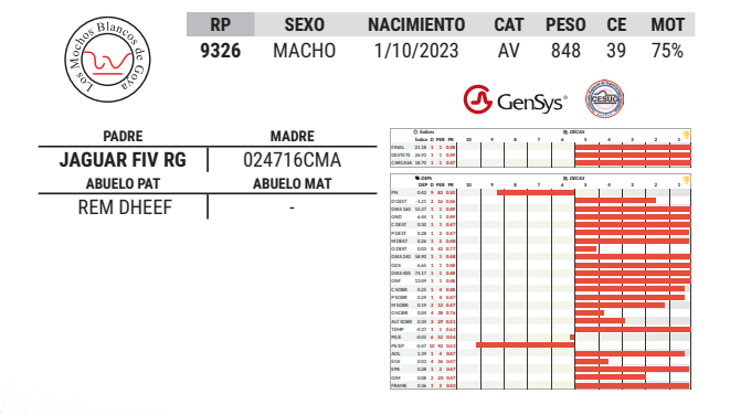 Lote LOTE 37