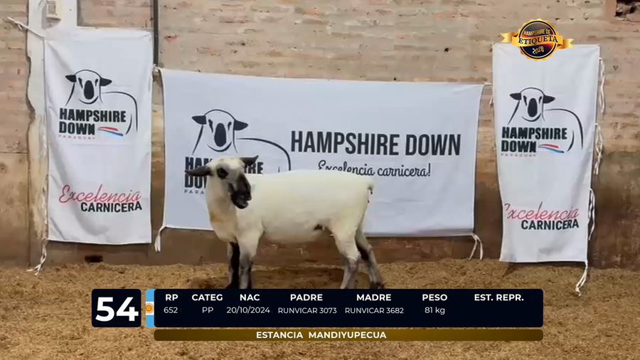 Lote LOTE 54