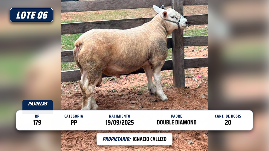 Lote LOTE 6