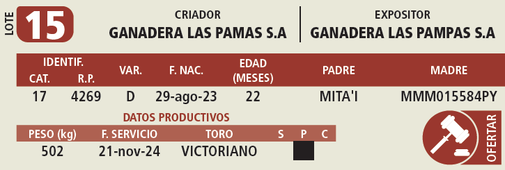 Lote LOTE 15