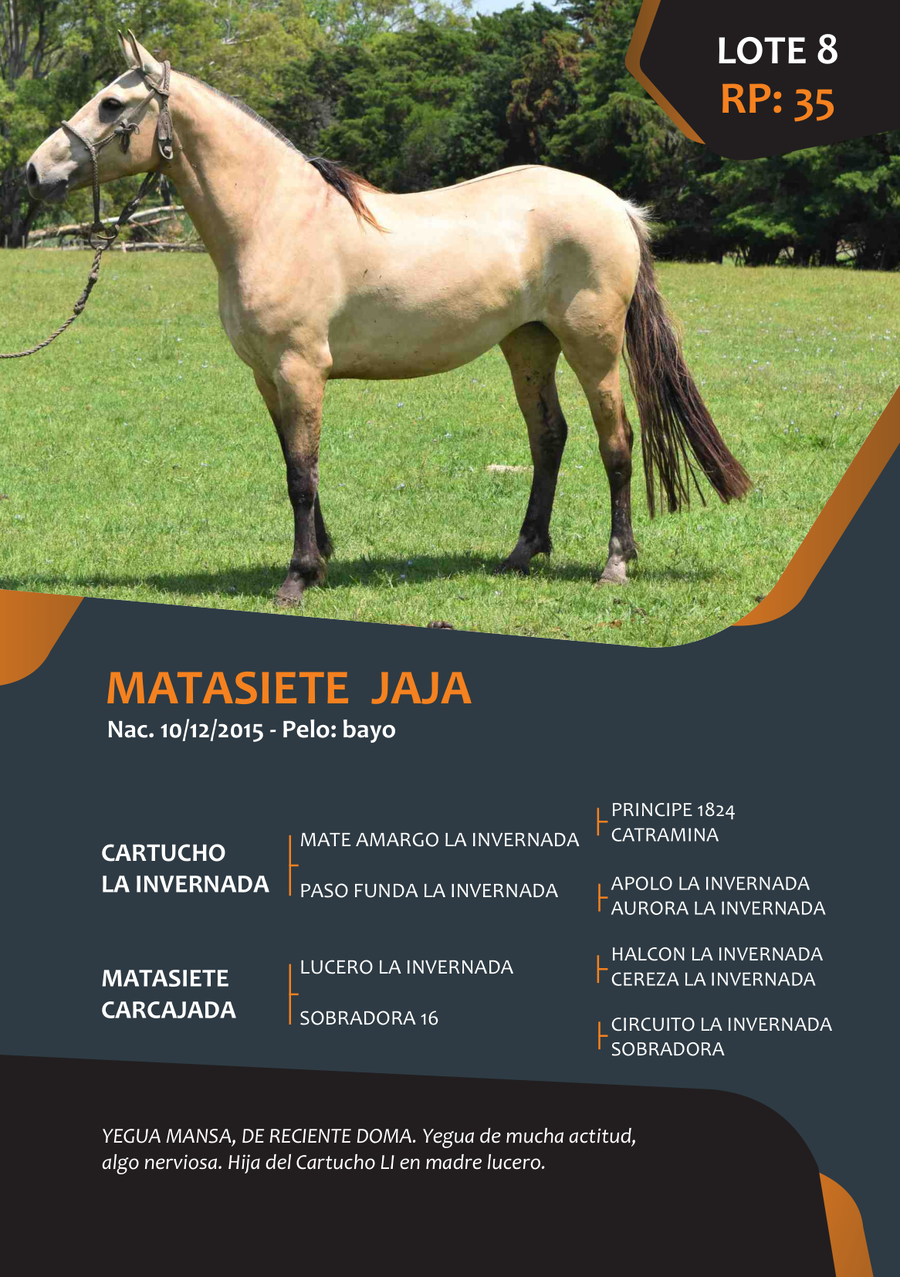 Lote RP 35 - MATASIETE JAJA