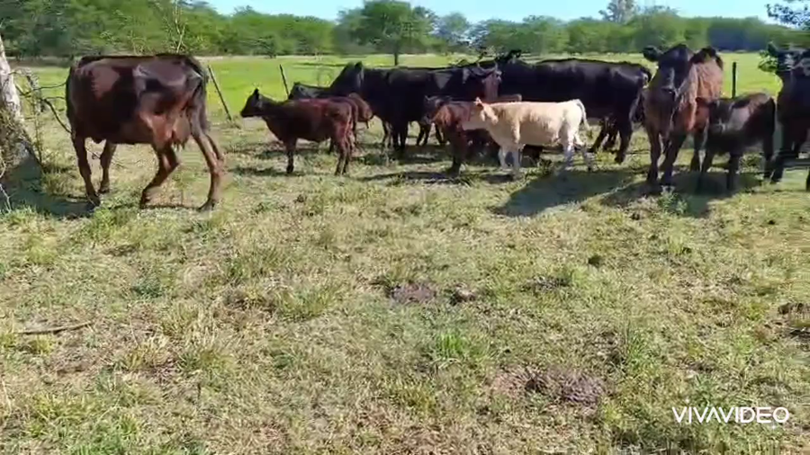 Lote 18 AL CTE (USADAS)