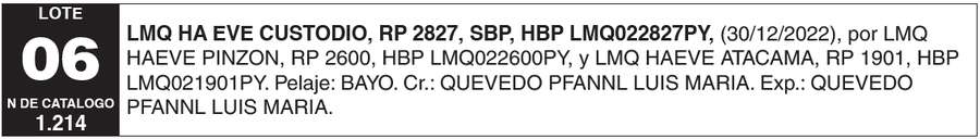 Lote LOTE 6