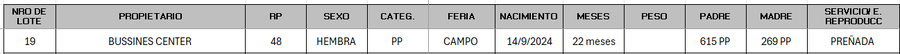 Lote LOTE 19 - CAMPO