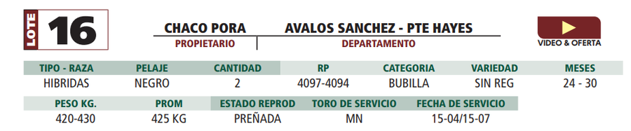 Lote LOTE 16