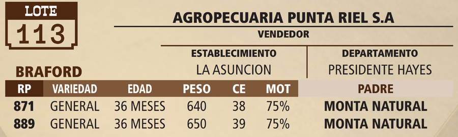 Lote LOTE 113 - PANTALLA