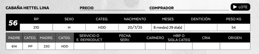 Lote LOTE 56