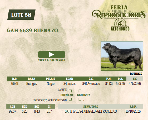 Lote LOTE 58