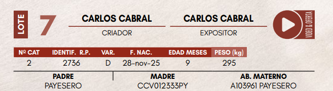 Lote LOTE 7 - TERNERAS DE CORRAL