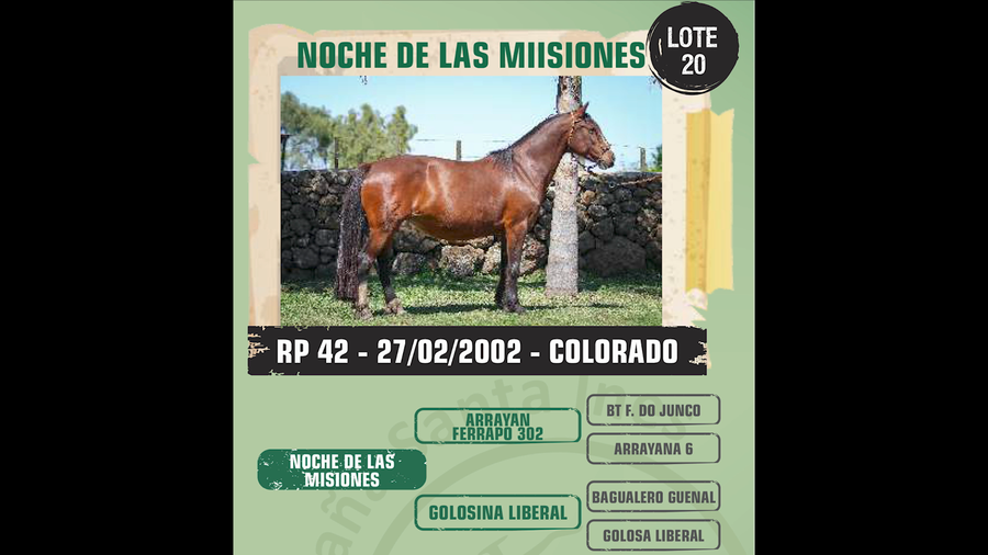 Lote Noche de las Misiones