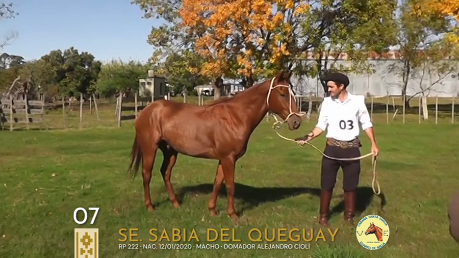 Lote Se. Sabia del Queguay