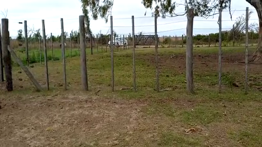 Lote Santo Domingo SA