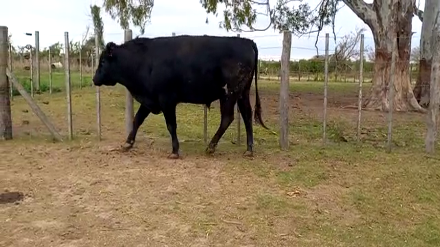 Lote Santo Domingo S.A