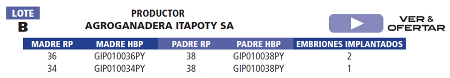 Lote LOTE B