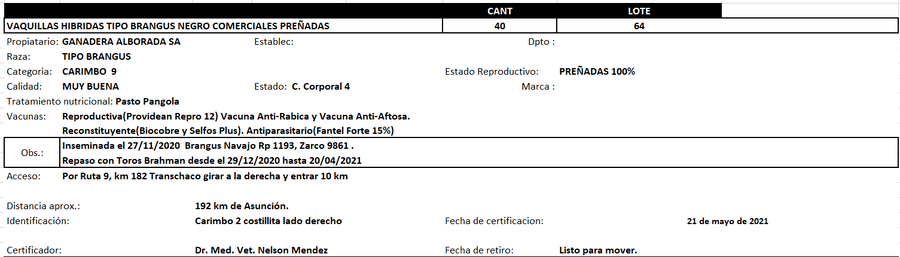 Lote Reproductores de Alborada - Lote 64