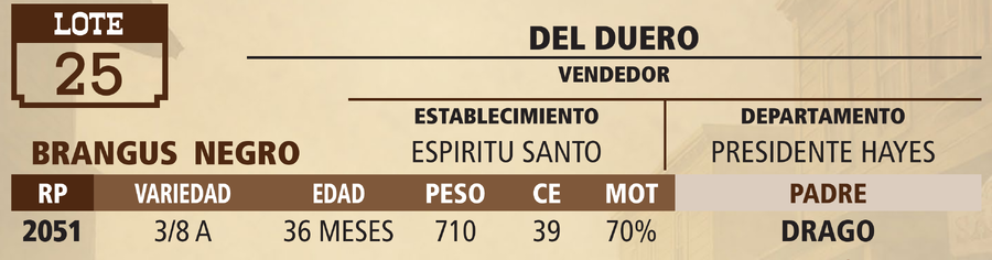 Lote LOTE 25 - PANTALLA