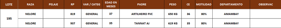 Lote LOTE 195 - POR PANTALLA