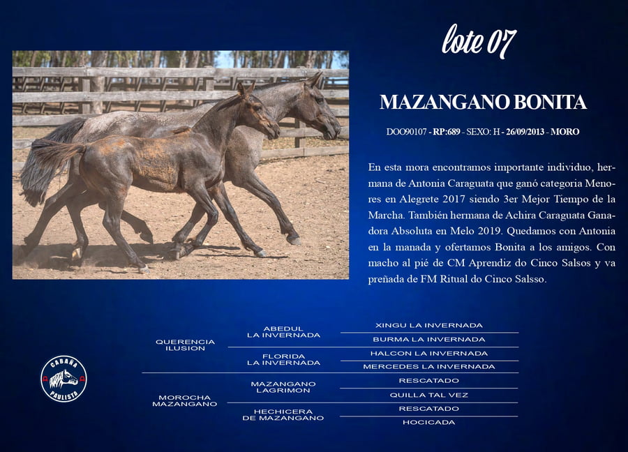 Lote Mazangano Bonita