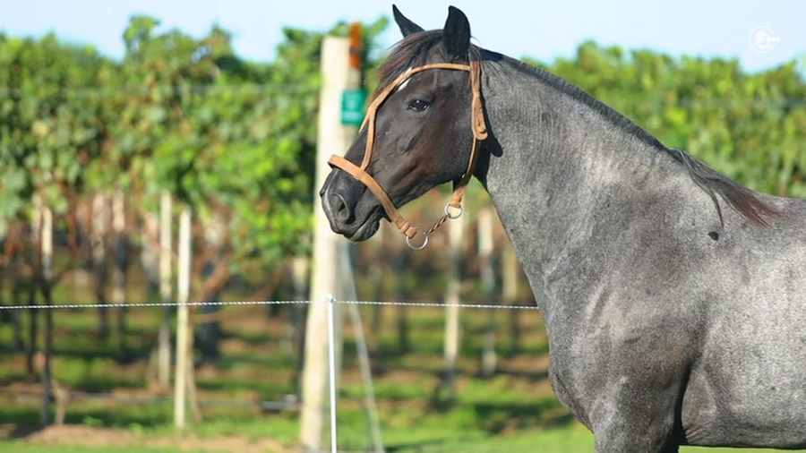 Lote Jerga La Higuera - Cabaña La Higuera