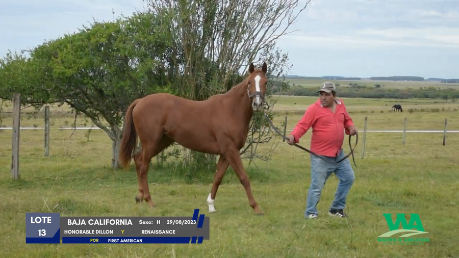 Lote BAJA CALIFORNIA