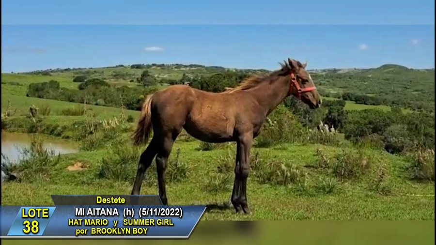 Lote Mi Aitana