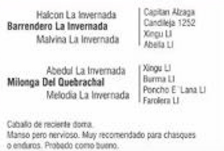 Lote REZONGO DEL QUEBRACHAL