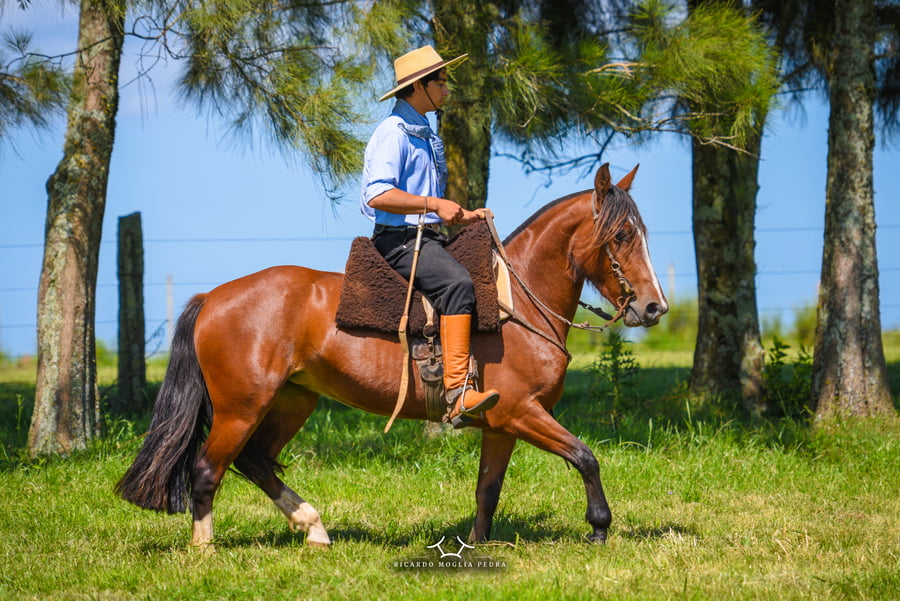 Lote El Gavilán Mariposa Manta (RP 417) Cabaña "El Gavilán"