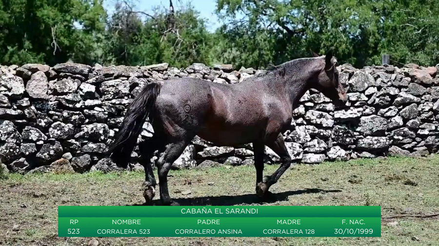 Lote Corralera 523