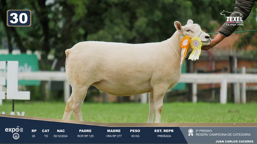 Lote LOTE 30
