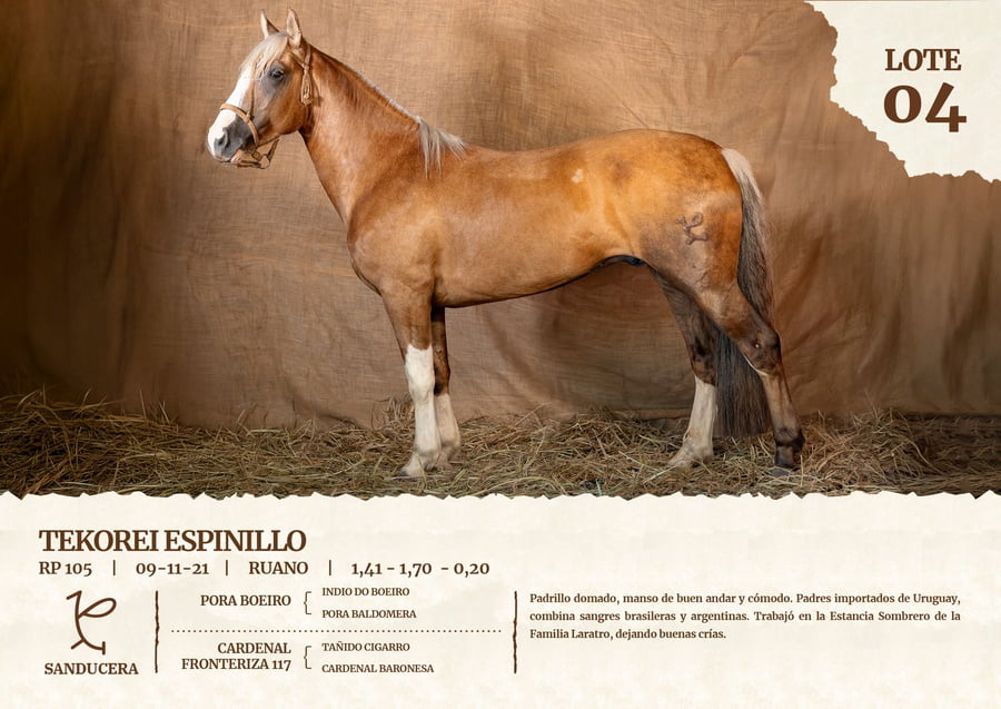 Lote TEKOREI ESPINILLO