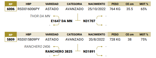 Lote LOTE 70