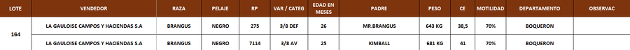 Lote LOTE 164